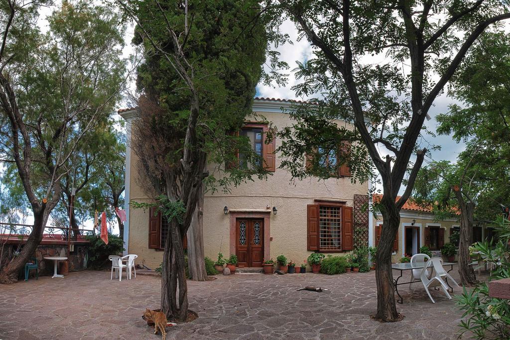 Lela Kaptani Eftalou Olive Grove Mithimna Exterior foto