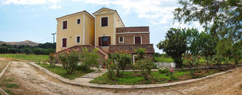 Lela Kaptani Eftalou Olive Grove Mithimna Exterior foto